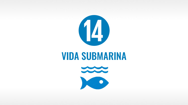 REPTE SEA2SEE I ECONOMIA BLAVA SOSTENIBLE